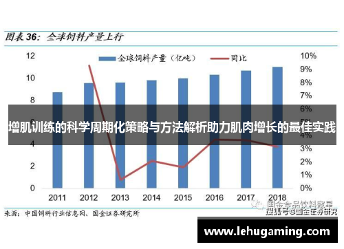 增肌训练的科学周期化策略与方法解析助力肌肉增长的最佳实践